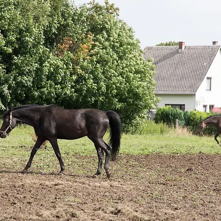 Grunbach 3 Lägenhet *
